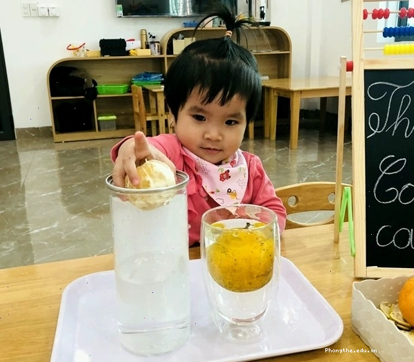 Thí nghiệm STEM cho trẻ mầm non thực hành tại nhà