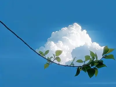 Chọn ngay ảnh avatar bầu trời phong cách đơn giản mà tinh tế