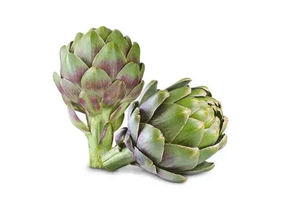 Khám phá vẻ đẹp tự nhiên qua ảnh hoa atiso độc đáo