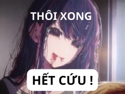 Những ảnh meme hết cứu độc đáo và hài hước khó bỏ qua
