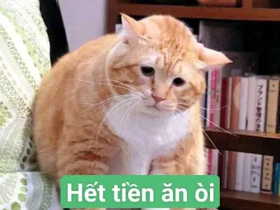 Ảnh meme hết tiền lan tỏa trên mạng xã hội cực hot