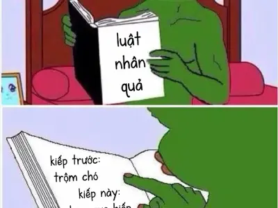 Khám phá meme triết lý suy ngẫm hài hước nhưng ý nghĩa