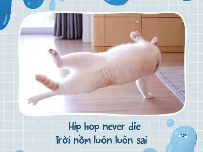 Tổng hợp ảnh meme về giao thông & thời tiết cực vui nhộn