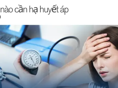 Bật mí cách kiểm soát huyết áp hiệu quả bảo vệ sức khỏe