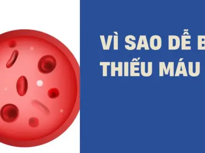 Nguyên nhân gây thiếu máu phổ biến và cách phòng ngừa