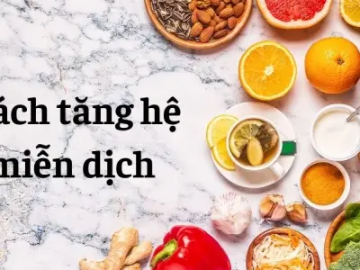 Cách tăng hệ miễn dịch giúp cơ thể phục hồi nhanh chóng
