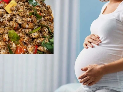 Bà bầu 3 tháng đầu ăn ốc hương được không? Hướng dẫn ăn đúng cách