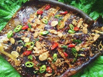 Bà bầu ăn cá đuối được không? Lưu ý cần biết