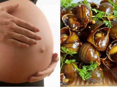 Bà bầu ăn ốc được không? Giải đáp thắc mắc và những lưu ý quan trọng