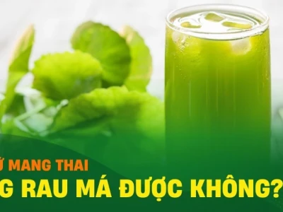 Bà bầu uống nước rau má được không? Lợi ích và lưu ý