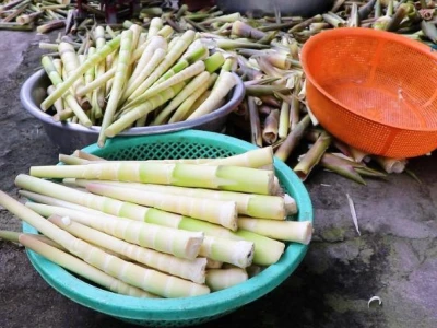Bà đẻ ăn măng được không? Giải đáp thắc mắc và lời khuyên