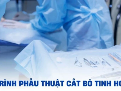 Cắt bỏ tinh hoàn có quan hệ được không? Giải đáp chi tiết từ chuyên gia