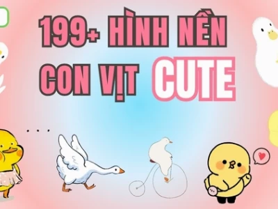 Chiêm ngưỡng 100+ avatar con vịt cute độc đáo cho năm 2026