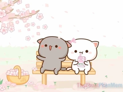 Chọn avatar đôi mèo cute: Bí quyết thể hiện tình yêu ngọt ngào 2026