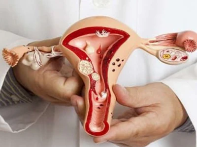 Giai đoạn hoàng thể là gì? Vai trò và ý nghĩa với kết quả mang thai