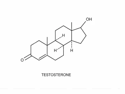 Hormone Testosterone Là Gì Và Vai Trò Quan Trọng Với Sức Khỏe Nam Giới