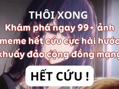 Khám Phá 199+ Meme Hết Hồn Biểu Cảm Cực Gắt 2026