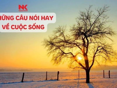 Khám Phá Chiều Sâu Của Cuộc Sống Qua Góc Tâm Sự