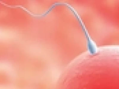 Làm sao để có em bé nhanh chóng và những lời khuyên hữu ích