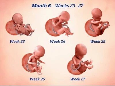 Mang thai 6 tháng: Những thay đổi quan trọng và lưu ý cần biết
