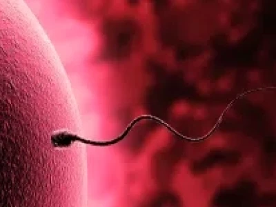 Quan hệ bao lâu thì có dấu hiệu mang thai và cách nhận biết sớm