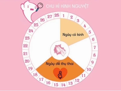 Quan hệ gần ngày đèn đỏ có thai không? Giải đáp chi tiết 2026
