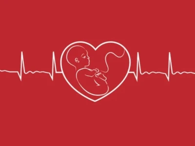 Tim thai là gì và những điều mẹ bầu cần biết