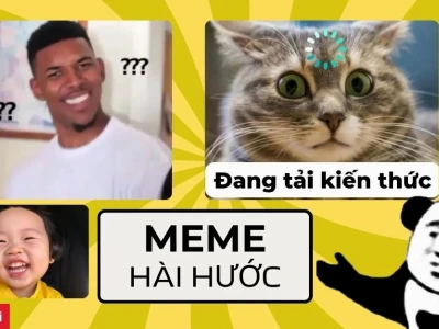 Tổng hợp 17 ảnh meme vui nhộn và hài hước nhất năm 2026