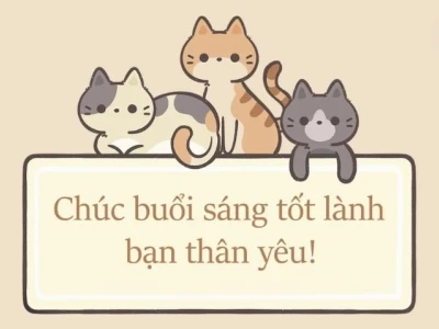 Tổng Hợp Meme Chúc Buổi Sáng Hài Hước, Độc Đáo Cho Ngày Mới