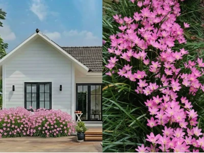 Trang trí bồn hoa trước nhà đẹp mắt với 15+ ý tưởng độc đáo 2026
