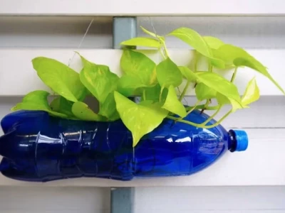 Tự Làm Chậu Hoa Từ Chai Nhựa Đẹp Mắt, Thân Thiện Môi Trường