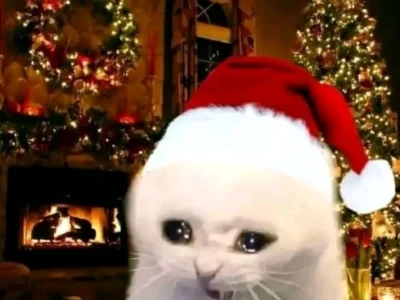 Tuyển Tập Ảnh Mèo Giáng Sinh Meme Vui Nhộn Cười Ra Nước Mắt 2026