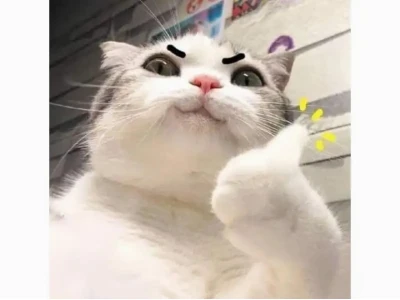 Tuyển tập meme xinh đẹp tuyệt vời: Khi lời khen trở nên hài hước
